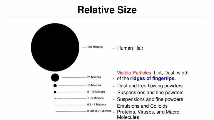 Relative size